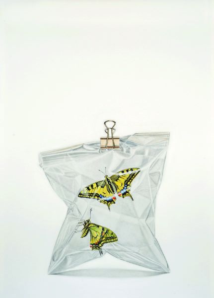 images/onlinegalerie/Steimer Sabine Freiheit 2014 34 x 24  Aquarell .jpg