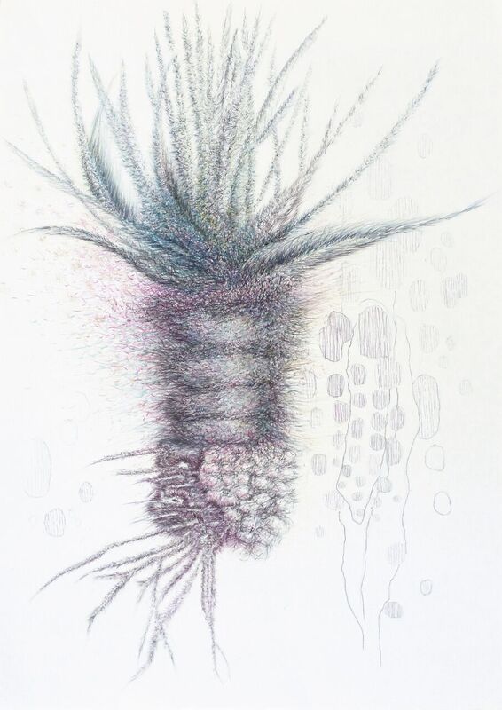 images/onlinegalerie/Bellaire Nicole Samenkapsel VIII.jpg